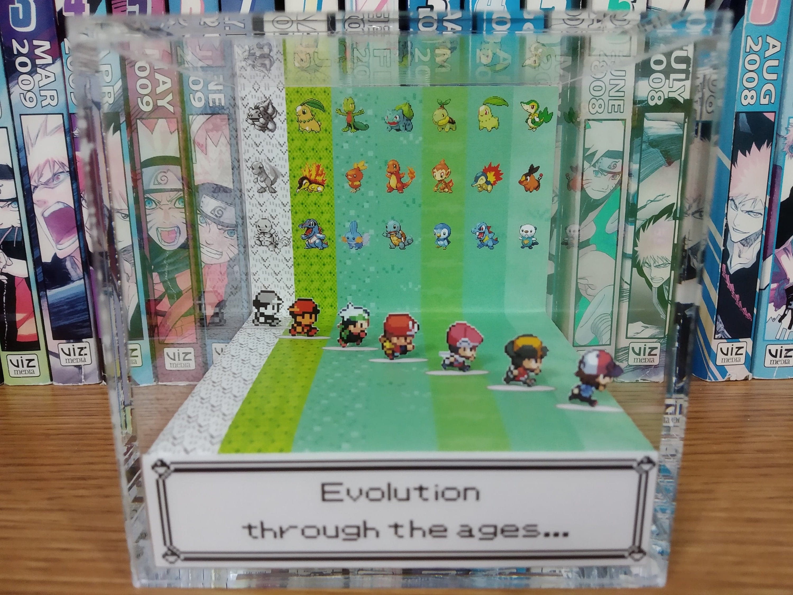 Generation Player 1 (Female / Male), Trainer 3D Diorama Cube, Trainer Handmade Crystal Diorama Cube, Unique Gift for Gamers (eg Trainer Red)