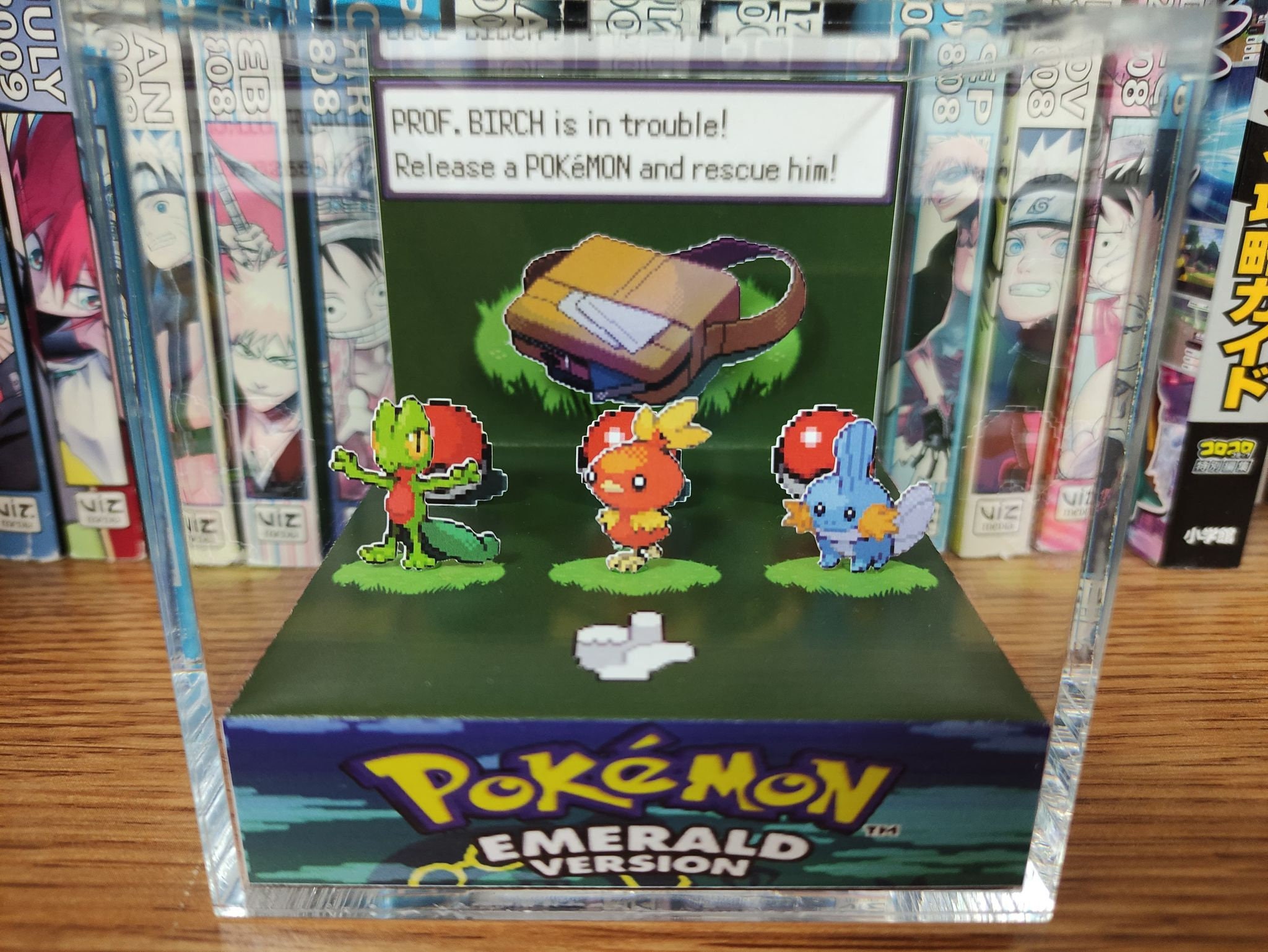 Emerald Starters (Treecko, Torchic, Mudkip), Treecko, Torchic, Mudkip 3D Diorama Cube, Handmade Crystal Diorama Cube, Unique Gamers Gift